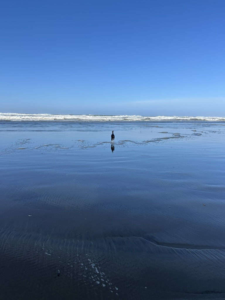 Ocean waves at Long Beach