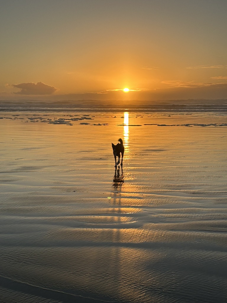 Beautiful sunset over Long Beach